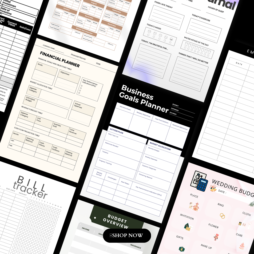 Finance & Budget Planner - Resell Ready