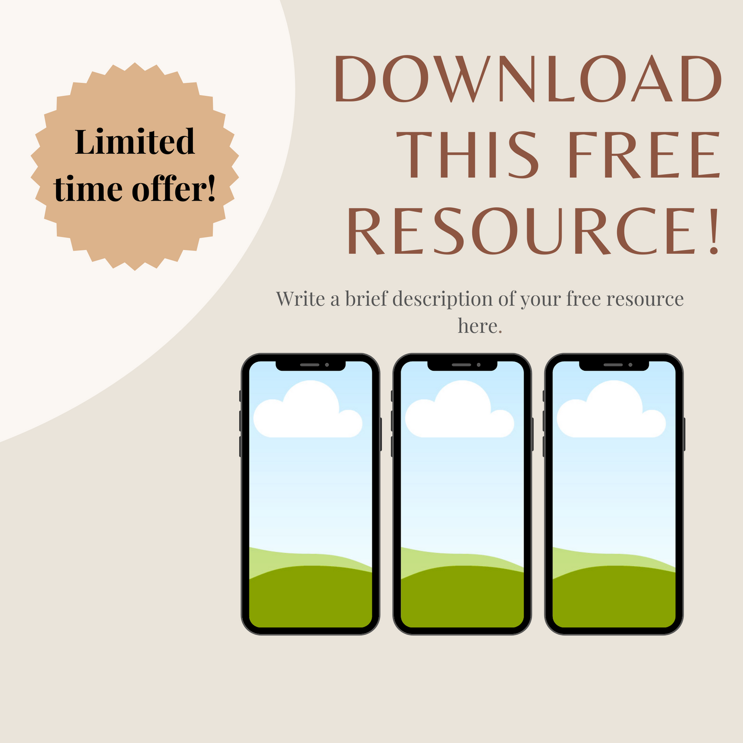 80 Mockup Templates - Resell Ready