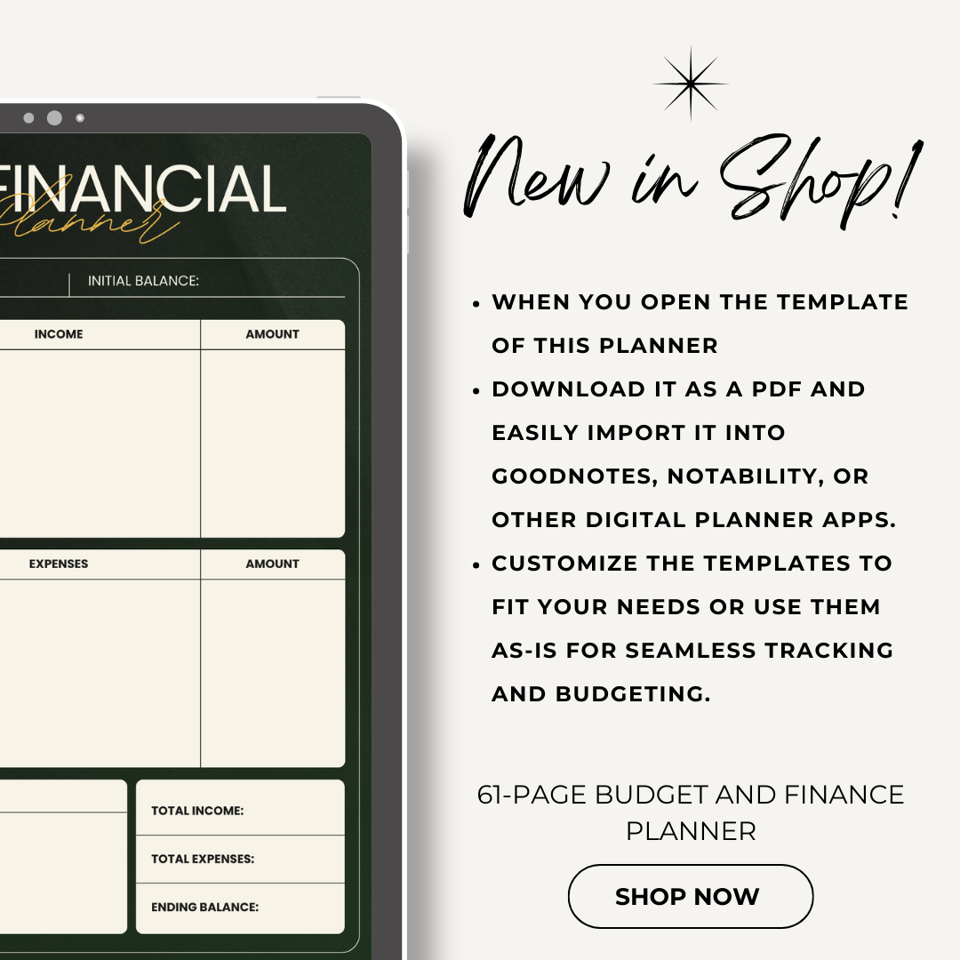 Finance & Budget Planner - Resell Ready