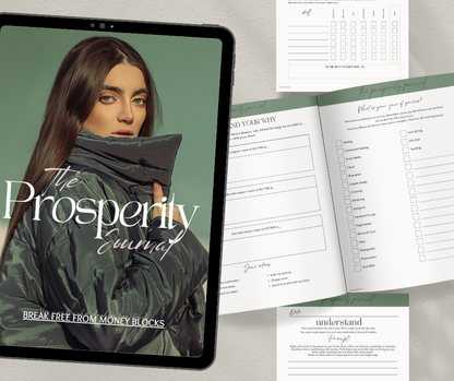 Prosperity Journal